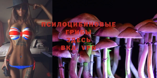 винт Алексеевка