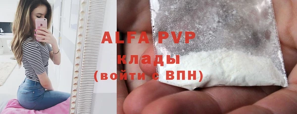 стафф Алексин