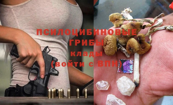 стафф Алексин
