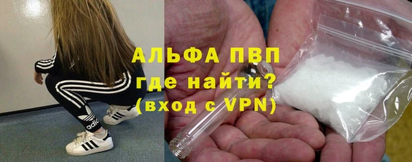 стафф Алексин