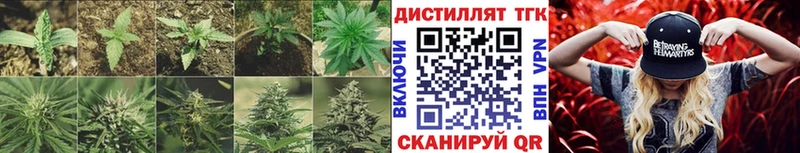 Дистиллят ТГК жижа  OMG онион  Рубцовск 